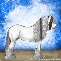 Horse Color:Buckskin Sabino Frame Rabicano 