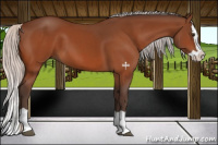 Horse Color:Silver Brown Splash 