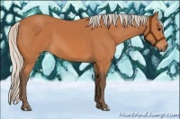 Horse Color:Silver Bay 