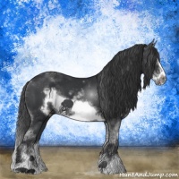 Horse Color:Black Sabino Frame