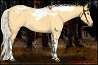 Horse Color:Silver Buckskin Roan Dun Tobiano 