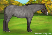 Horse Color:Smoky Blue Roan Rabicano