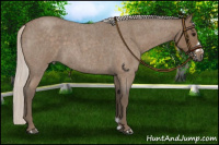 Horse Color:Silver Blue Roan Frame