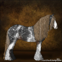 Horse Color:Gray White Spotted Liver Chestnut 