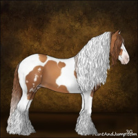 Horse Color:Gray White Spotted Gold Champagne Splash Tobiano 