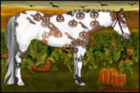 Horse Color:Bay Splash Tobiano Frame Rabicano