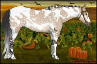 Horse Color:Bay Dun Tobiano Frame Rabicano