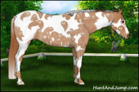 Horse Color:Red Roan Splash Tobiano Frame