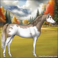 Horse Color:Gray Red Dun Roan Splash Frame Rabicano