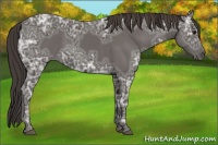 Horse Color:Smoky Black Ice 