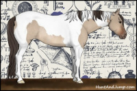 Horse Color:Bay Dun Tobiano Appaloosa Rabicano