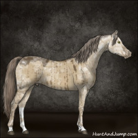 Horse Color:Chocolate Palomino Ice Dun Mushroom Brindle