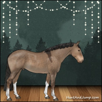 Horse Color:White Spotted Liver Red Dun 