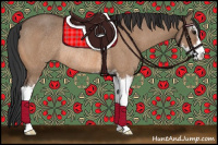 Horse Color:Bay Dun Sabino Rabicano