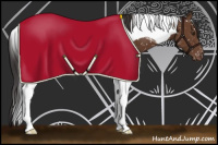 Horse Color:Bay Tobiano Appaloosa