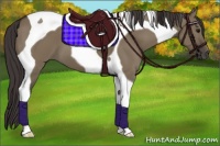 Horse Color:Smoky Grullo Tobiano 
