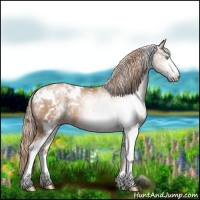 Horse Color:White Spotted Liver Chestnut Pearl 