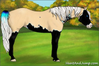 Horse Color:Silver Classic Cream Champagne Roan Sabino Splash