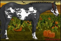 Horse Color:Black Frame 