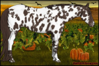 Horse Color:Liver Chestnut Tobiano Near Leopard