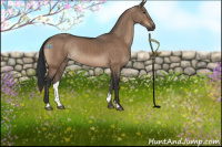 Horse Color:Brown Dun Sabino Rabicano