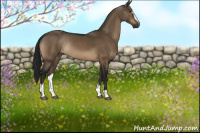Horse Color:Gray Brown Dun Sabino Rabicano