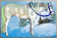 Horse Color:Painted Watercolor Bay Splash 