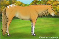 Horse Color:Watercolor Liver Chestnut Tobiano Rabicano 