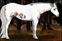 Horse Color:White Spotted Silver Bay Splash Tobiano
