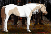Horse Color:Red Dun Tobiano