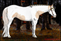 Horse Color:Gold Champagne Roan Splash Tobiano