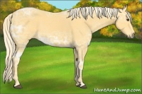 Horse Color:Palomino Ice 