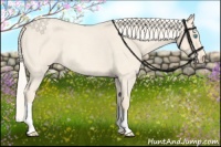 Horse Color:Cremello Roan 