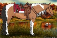 Horse Color:Bay Roan Tobiano