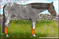 Horse Color:Smoky Black Ice 