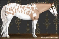 Horse Color:Silver Classic Champagne Splash Near Leopard 