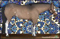 Horse Color:White Spotted Brown Dun Rabicano