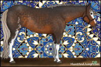 Horse Color:White Spotted Silver Smoky Black Sabino Rabicano 