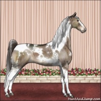 Horse Color:White Spotted Liver Red Dun Splash Tobiano 
