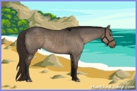 Horse Color:Liver Red Dun Sabino