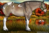 Horse Color:White Spotted Brown Dun Tobiano 