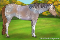 Horse Color:Chestnut Ice 