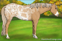 Horse Color:Palomino Ice Frame 