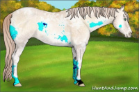 Horse Color:Palomino Ice Pearl Onyx 