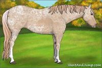 Horse Color:Painted White Spotted Chestnut Ice 