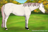 Horse Color:Painted Cremello Ice