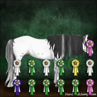 Horse Color:Blue Ice Roan Splash Fewspot Rabicano 