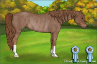 Horse Color:Red Roan Rabicano 