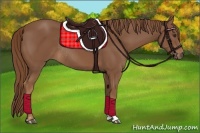 Horse Color:Chestnut Sabino Rabicano 