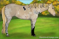 Horse Color:Painted White Spotted Silver Bay Ice Dun